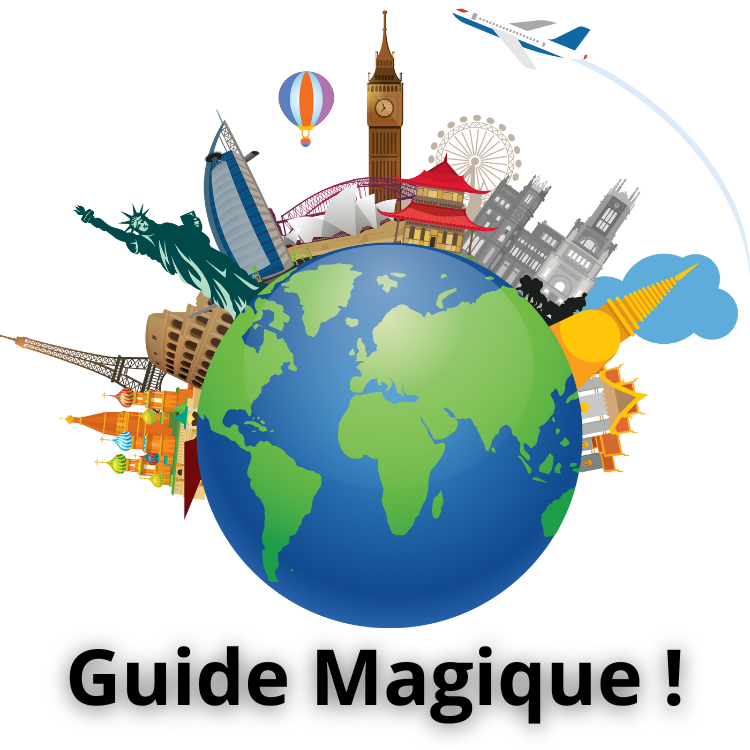 Guide VIP: 50 Phrases pour Voyager!